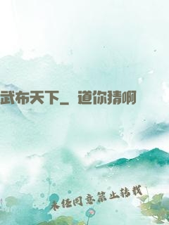 武布天下
