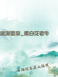 武御圣帝