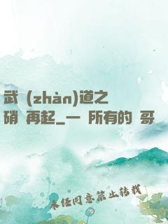 武戰(zhàn)道之硝煙再起