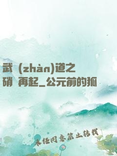 武戰(zhàn)道之硝煙再起