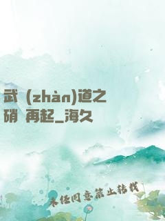 武戰(zhàn)道之硝煙再起