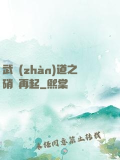 武戰(zhàn)道之硝煙再起
