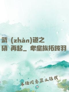 武戰(zhàn)道之硝煙再起
