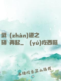 武戰(zhàn)道之硝煙再起