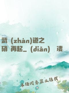 武戰(zhàn)道之硝煙再起