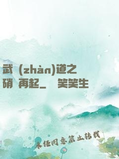 武戰(zhàn)道之硝煙再起