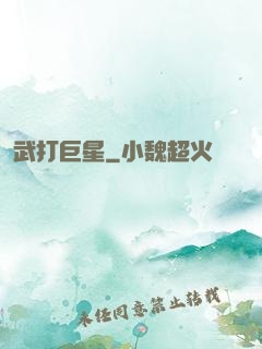 武打巨星