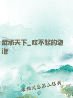 武承天下