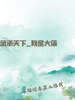 武承天下