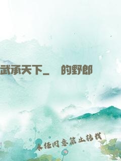 武承天下