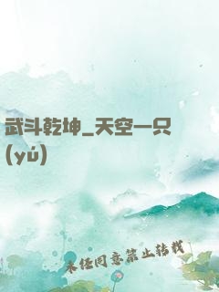 武斗乾坤