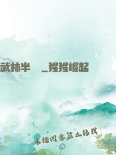 武林半俠傳