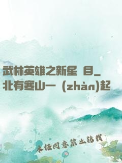 武林英雄之新星奪目