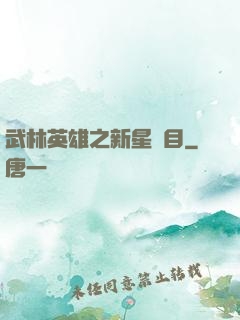 武林英雄之新星奪目