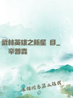 武林英雄之新星奪目