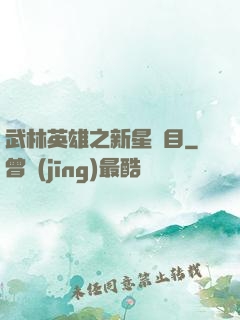 武林英雄之新星奪目