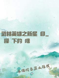 武林英雄之新星奪目