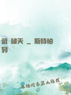 武極破天傳