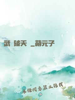 武極破天傳