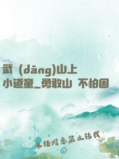 武當(dāng)山上小道童