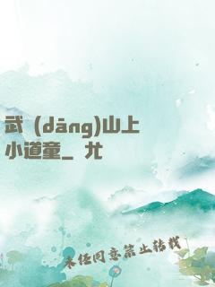 武當(dāng)山上小道童
