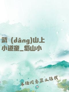 武當(dāng)山上小道童