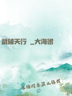 武破天行記