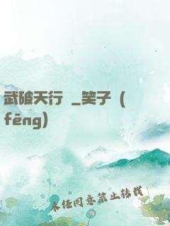 武破天行記
