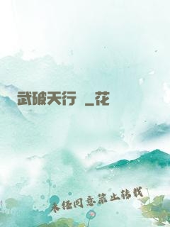 武破天行記