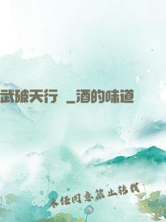 武破天行記