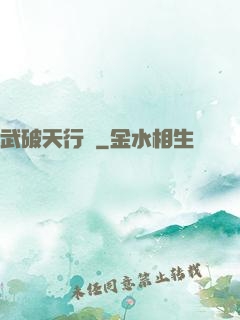 武破天行記