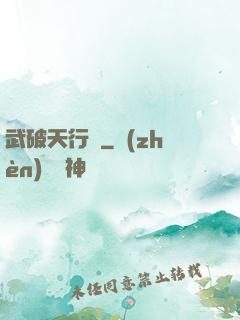 武破天行記