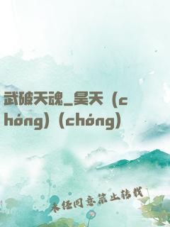 武破天魂