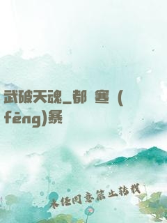 武破天魂