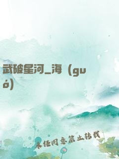 武破星河