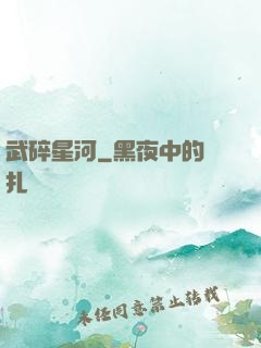 武碎星河