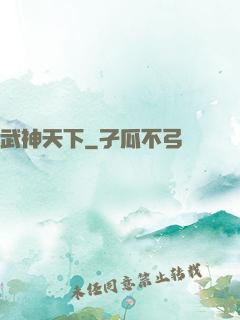 武神天下