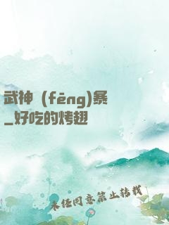 武神風(fēng)暴