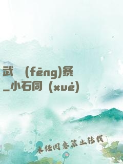 武裝風(fēng)暴