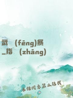 武裝風(fēng)暴