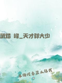 武踏巔峰