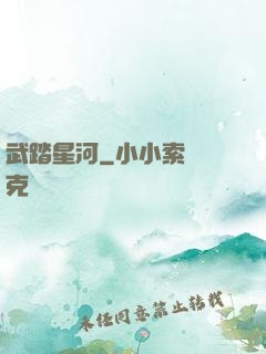武踏星河