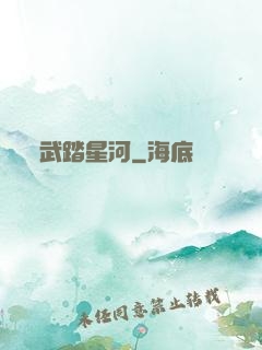 武踏星河