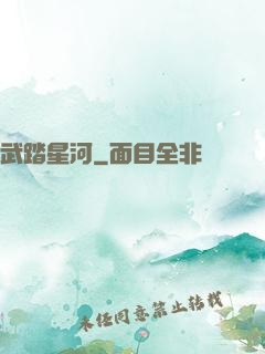 武踏星河