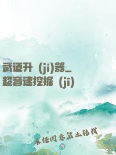 武道升級(jí)器