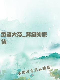 武道大帝