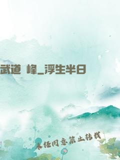 武道巔峰