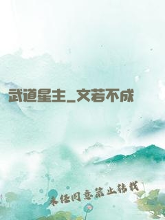 武道星主
