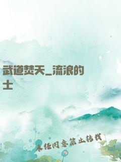 武道焚天