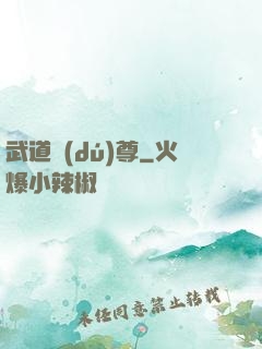 武道獨(dú)尊